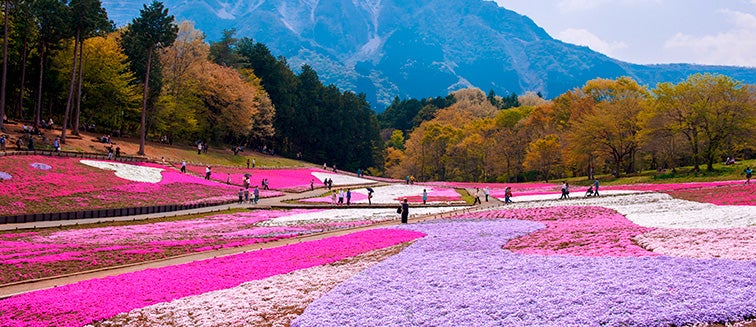 Japón en otoño