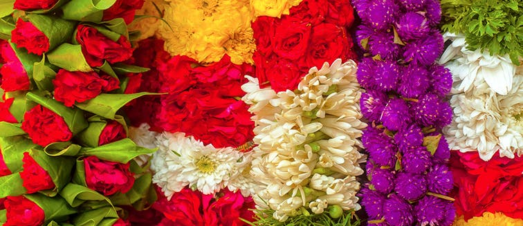 Carnaval de flores de Chiang Mai