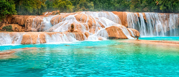 What to see in Mexico Agua Azul Waterfalls