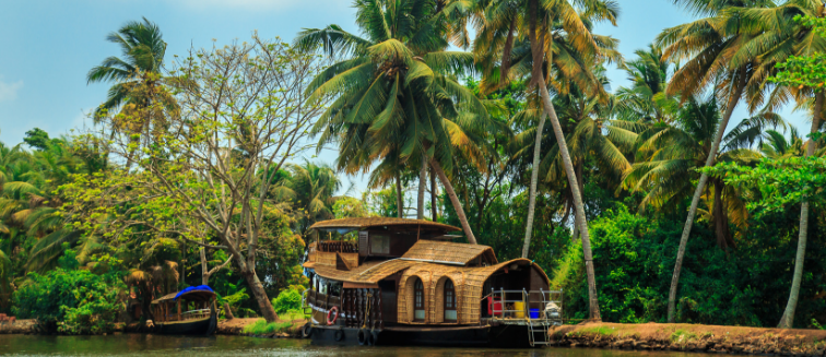 What to see in Inde Alleppey