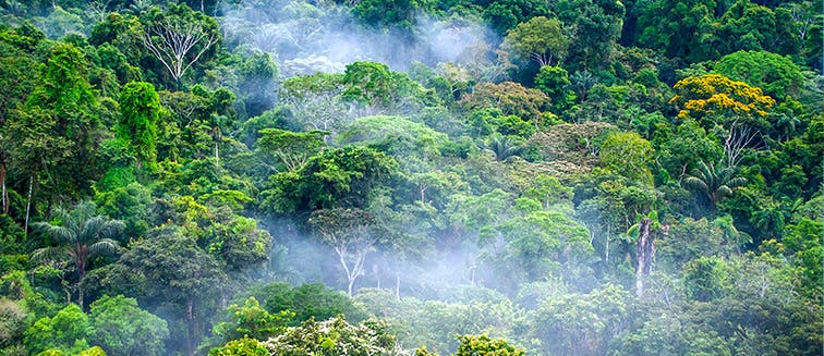 Qué ver en Ecuador Amazonas