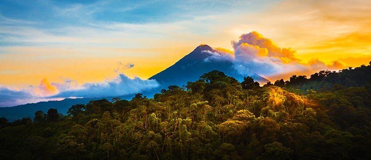 Tours of the  Rainforest: Best destinations - Exoticca Blog