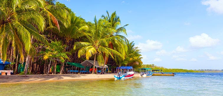 What to see in Panama Bocas del toro