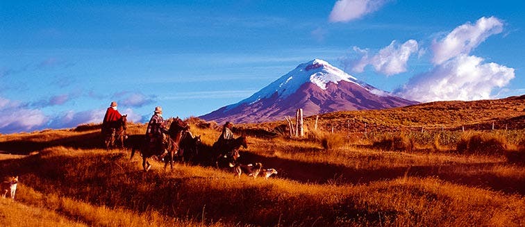 What to see in Ecuador Cotopaxi National Park