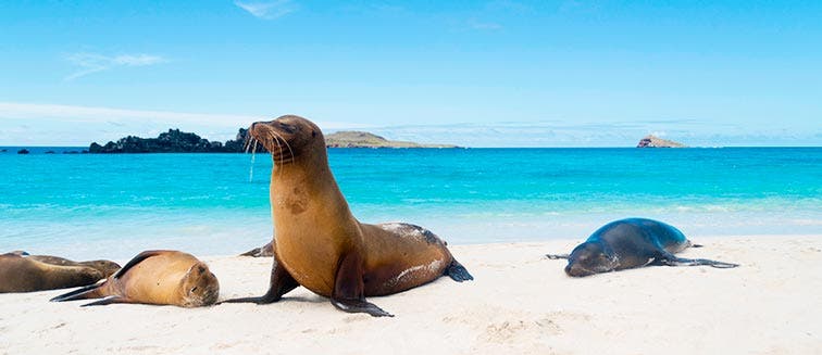 What to see in Ecuador Galapagos Islands
