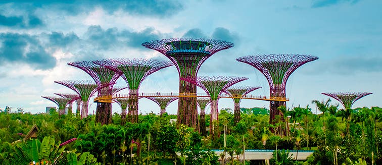 What to see in Singapore Gardens by the Bay