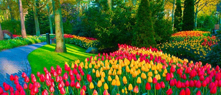 What to see in Holland Keukenhof