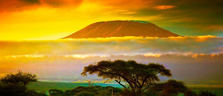 Sehenswertes in Tansania Kilimandscharo