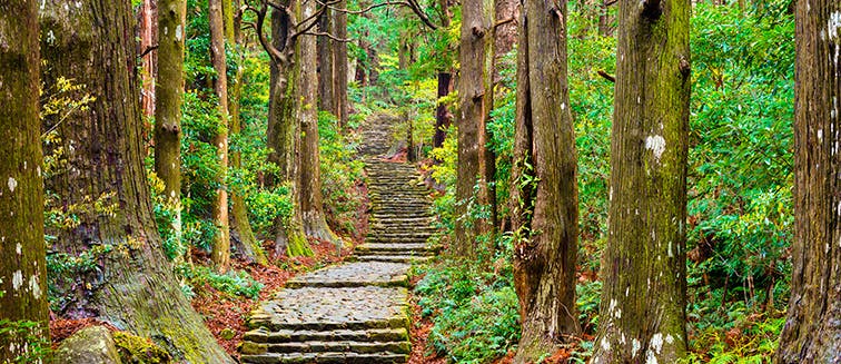 What to see in Japan Kumano Kodo