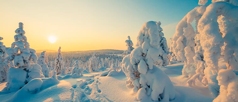 What to see in Finland Lapland