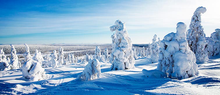 Qué ver en Finlandia Laponia - Salla