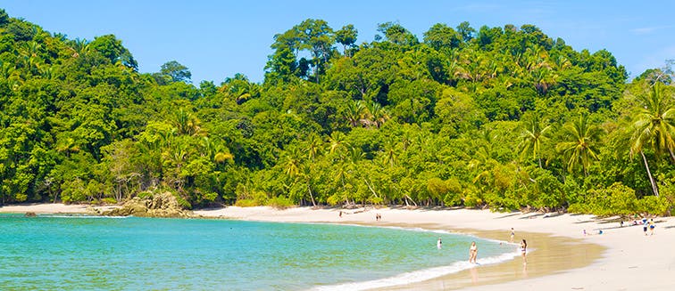 What to see in Costa Rica Manuel Antonio