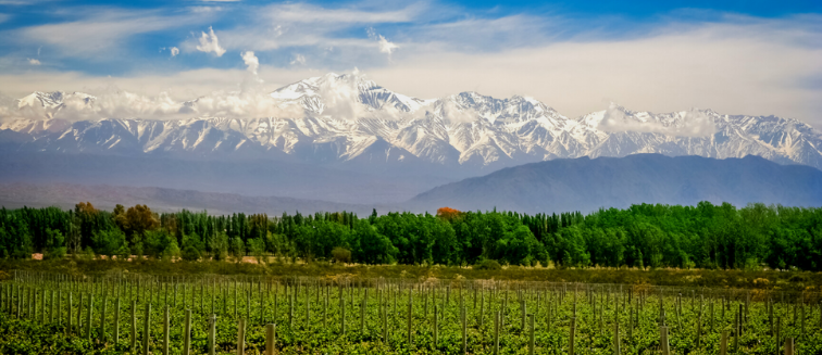 What to see in Argentina Mendoza