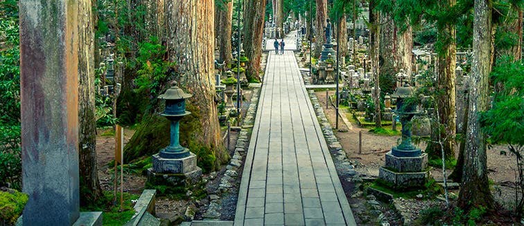 What to see in Japan Mount Koya