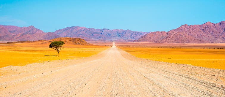 What to see in Namibia Namib Naukluft