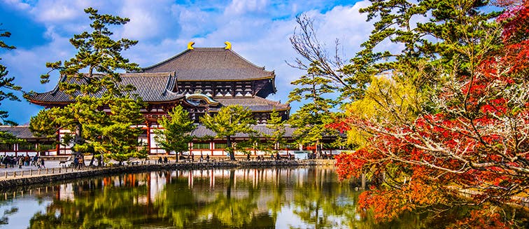 What to see in Japon Nara