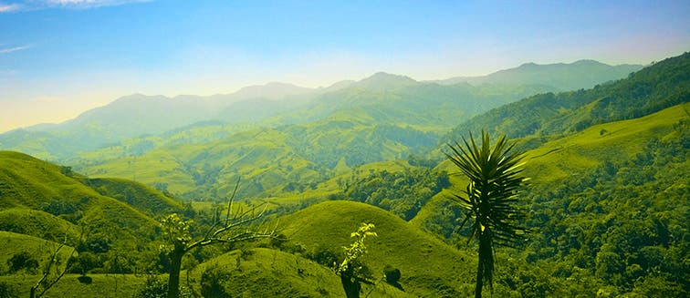 Sehenswertes in Costa Rica Nationalpark Braulio Carrillo