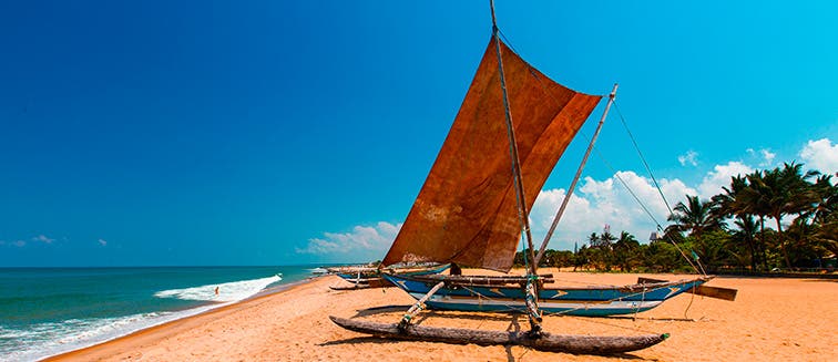 What to see in Sri Lanka Negombo
