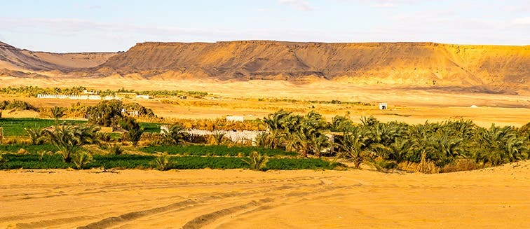 Qué ver en Egipto Oasis de Bahariya