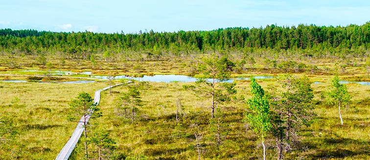 What to see in Républiques baltes Parc national de Soomaa