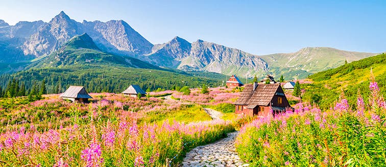 What to see in Pologne Parc national des Tatras 