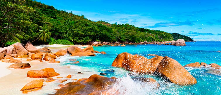 What to see in Seychelles Praslin