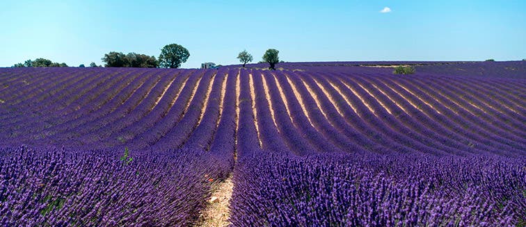 What to see in France Provence