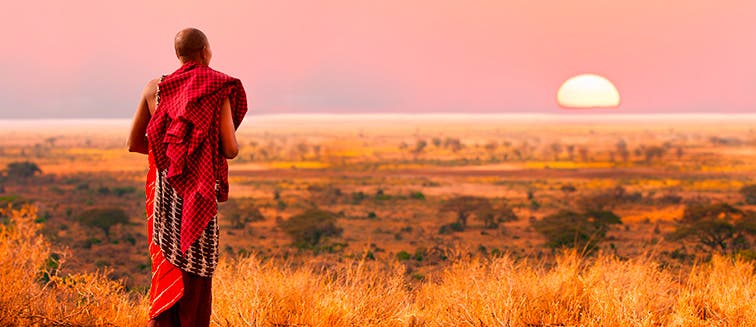 What to see in Kenya Réserve du Masai Mara