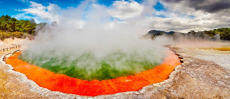 What to see in New Zealand Rotorua