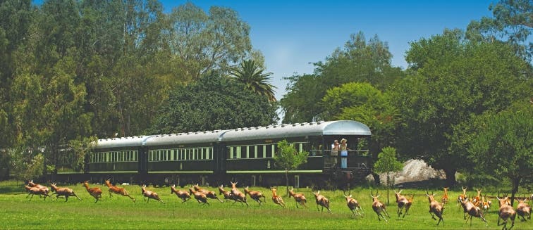 What to see in Afrique du Sud Rovos Rail