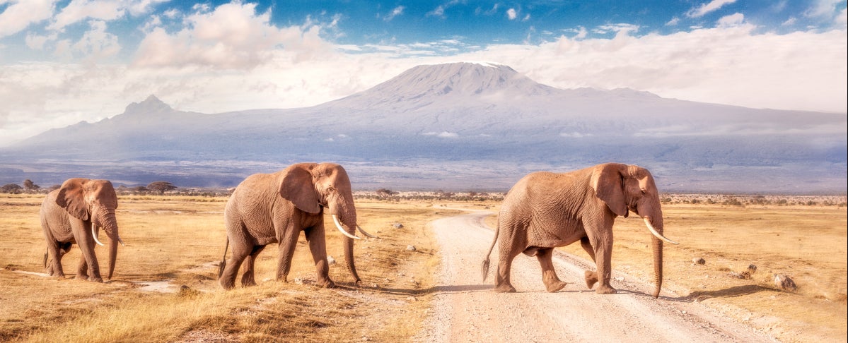 3rd Day: Nairobi - Amboseli National Park