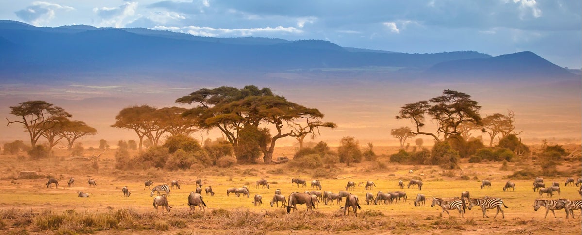 4th Day: Amboseli National Park