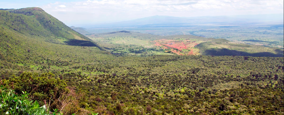 6th Day: Lake Naivasha - Maasai Mara National Reserve 