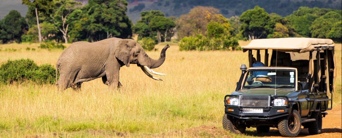 7th Day: Maasai Mara National Reserve