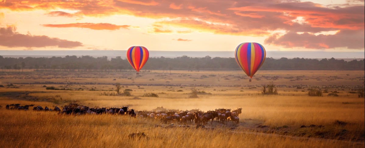 8th Day: Maasai Mara National Reserve - Nairobi