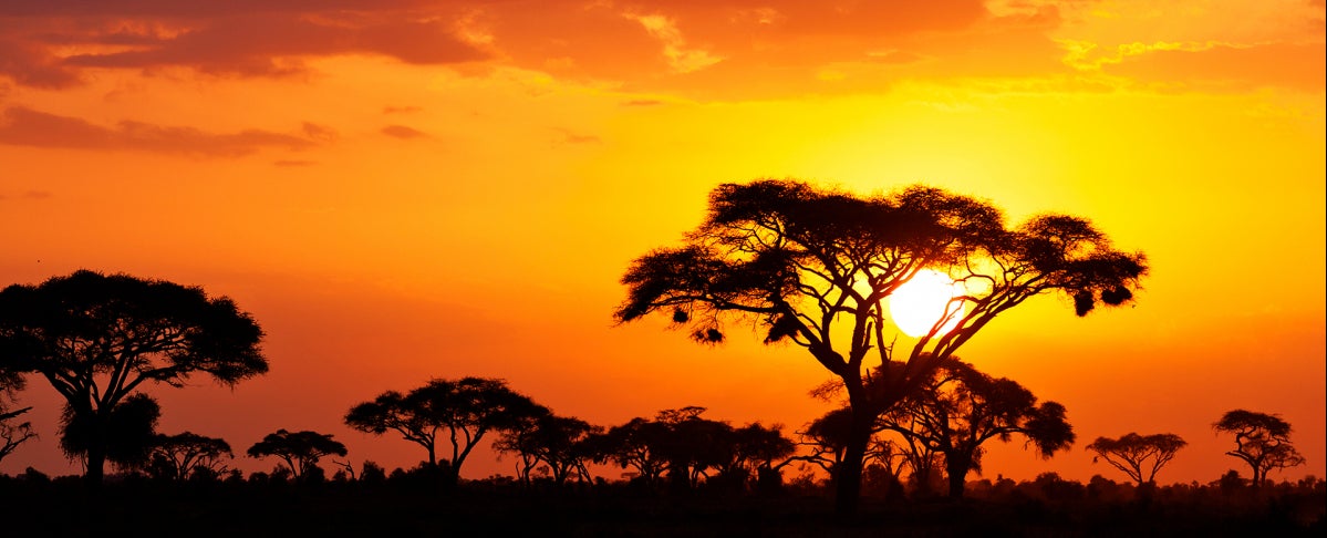 9th Day: Nairobi - Night on board