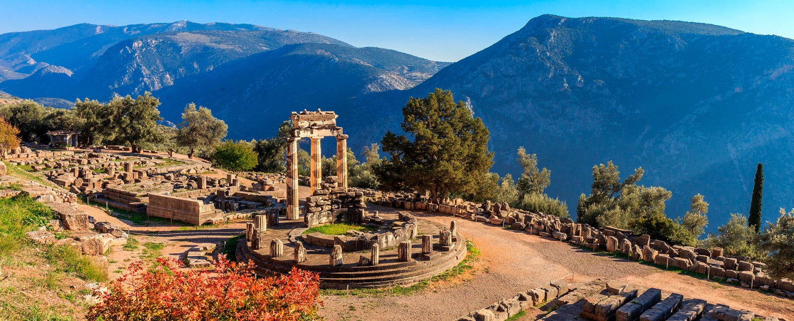 Featured Promotion Image