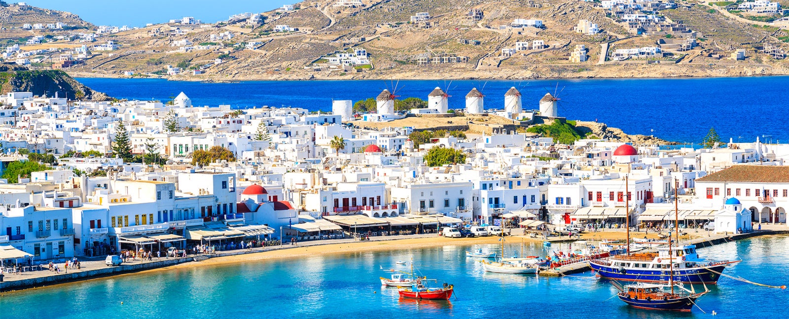 Featured Promotion Image