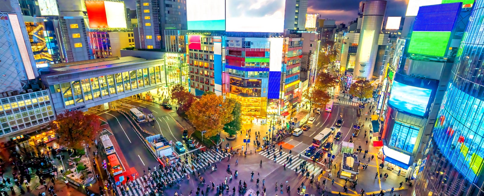 Featured Promotion Image