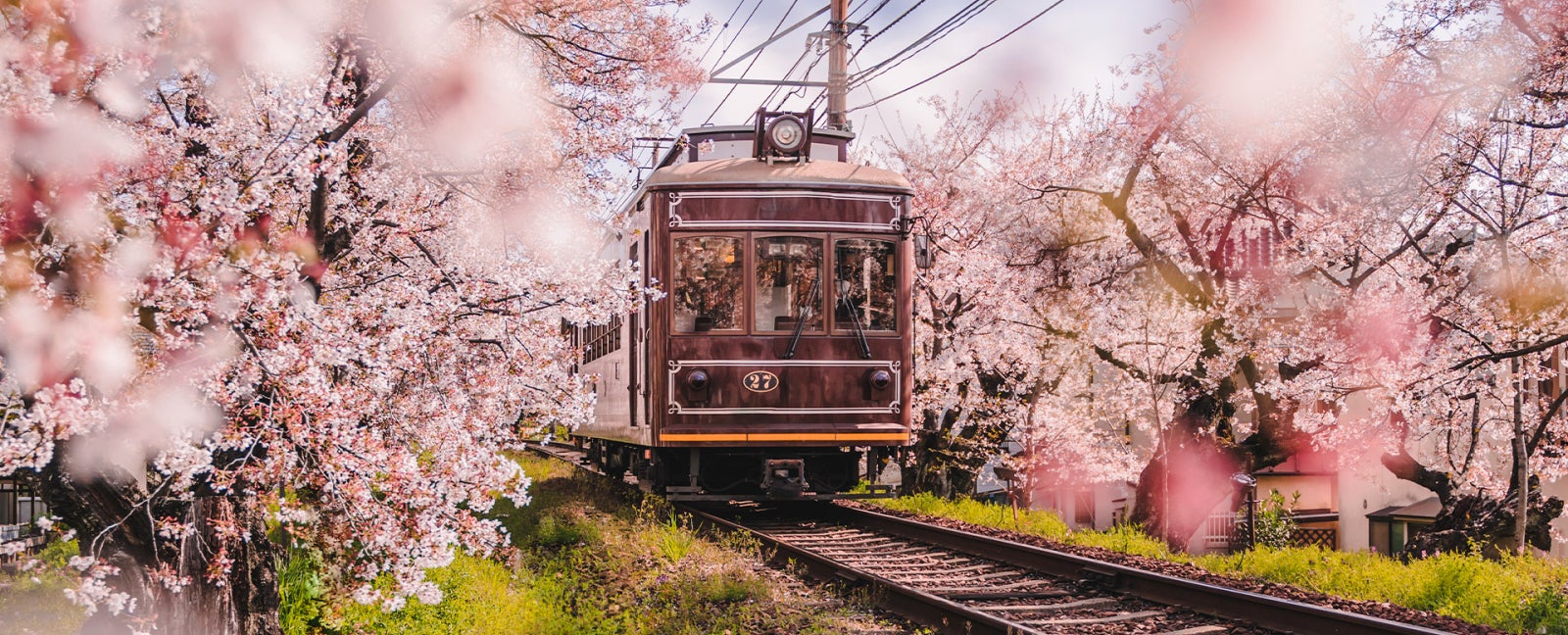 8th Day: Kyoto - Osaka